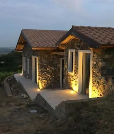 New! Immersed In A Vineyard Holiday home *