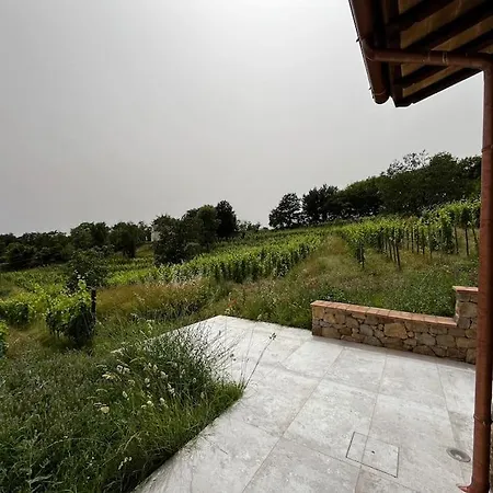 New! Immersed In A Vineyard Holiday home
