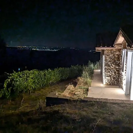 Holiday home New! Immersed In A Vineyard