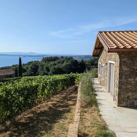 New! Immersed In A Vineyard Holiday home Gradoli
